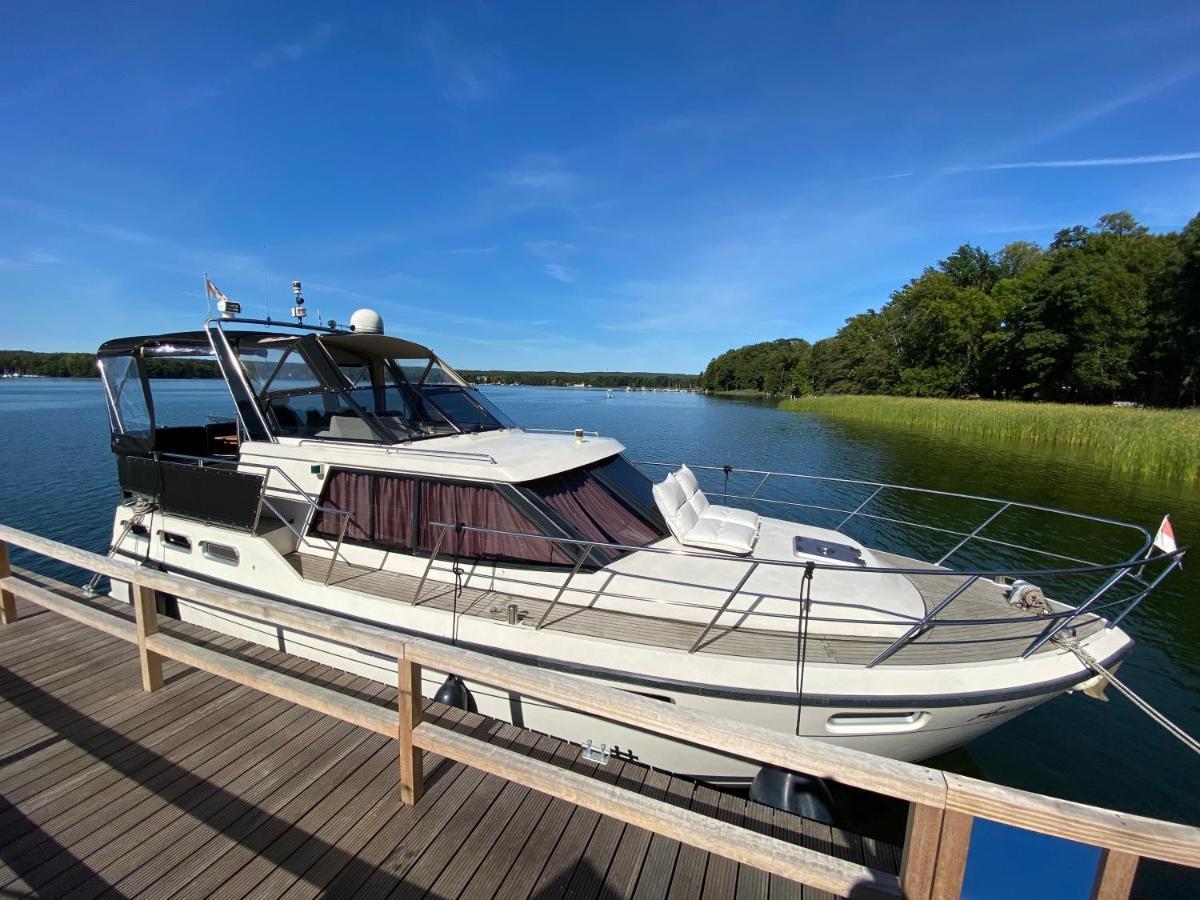 Luxusurlaub Auf Der Amavida Yacht / Scharmuetzelsee Bad Saarow Eksteriør billede