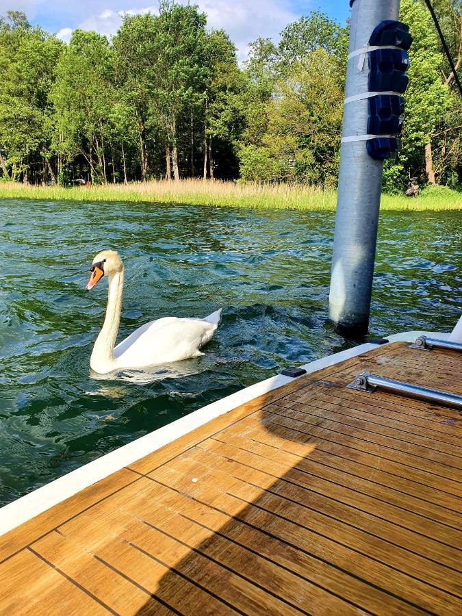 Luxusurlaub Auf Der Amavida Yacht / Scharmuetzelsee Bad Saarow Eksteriør billede